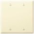 Leviton 2-Gang Ivory Blank Plate Plastic Standard Wall Plate (1-Pack) 86025