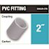 Carlon 2 in. PVC Standard Coupling