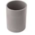 Carlon 2 in. PVC Standard Coupling