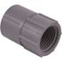 Carlon 1/2 in. PVC Female Adapter