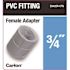 Carlon 3/4 in. PVC Female Adapter