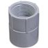 Carlon 3/4 in. PVC Female Adapter