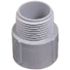 Carlon 3/4 in. PVC Male Adapter