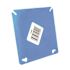 Carlon 2-Gang Blank Electrical Non-Metallic Tubing Box Cover