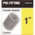 Carlon 1 in. PVC Female Adapter- Standard Fitting (Case of 10)