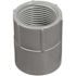 Carlon 1 in. PVC Female Adapter- Standard Fitting (Case of 10)