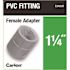 Carlon 1-1/2 in. PVC Female Adapter