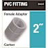 Carlon 2 in. Electrical PVC Female Adapter (E942J-4-HD)