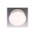 Royal Cove 2-Light White Flushmount