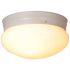 Royal Cove 2-Light White Flushmount