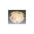 Monument 12-3/4 in. Surface Mount Ceiling in Fixture Polished Brass Uses Two 75-Watt Incandescent Medium Base Lamps