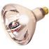SATCO|Satco 125-Watt R40 Medium Base Incandescent Heat Lamp Light Bulb