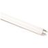 Sylvania 17-Watt 24 in. Linear T8 Fluorescent Light Bulb Cool White