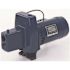 Sta-Rite 3/4 HP Shallow Well Jet Pump