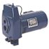 Sta-Rite 3/4 HP Pump Jet Convertible