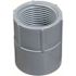 Carlon 3/4 in. Female PVC Conduit Adapter (Standard Fitting)