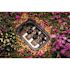 Rain Bird 1 in. FPT Inline Irrigation Valve