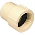 3/4 in. CPVC CTS FPT x S Female Adapter