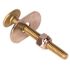 PROPLUS 1/4 in. x 2-1/4 in. Toilet Bolt, Brass