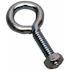 Anvil Mark 1/4 in. x 2 in. Anvil Mark Closed Eye Bolt