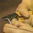 Klein Tools Electrical Wire Stripper / Cutter (10-18 AWG Solid)