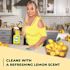 SIMPLE GREEN All-Purpose Cleaner - Lemon Scent 32oz