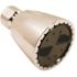ProPlus 1-Spray 2 in. Showerhead with Brass Ball Joint, 2.5 GPM, 2 in. Face Showerhead in Chrome