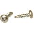 Lindstrom #10 x 1/2 in. Phillips Pan Head Self Tapping Screw (100 per Box)