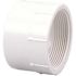NIBCO 3 in. PVC DWV Hub x FIPT Female Adapter
