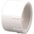 NIBCO 4 in. PVC DWV Hub x FIPT Female Adapter