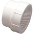 NIBCO 2 in. PVC DWV Street SPG x FIPT Female Adapter
