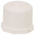 Proplus PVC SLIP CAP, 3/4 IN.