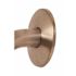 Premier Shower Arm Escutcheon in Brushed Nickel