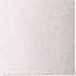 Georgia-Pacific White Hardwound Roll Towel (12-Rolls)