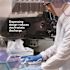 Kimtech White 2-Ply Kimwipes Delicate Task Science Wipers (15 Pop-Up Boxes/Case, 90 Sheets/Box, 1,350 Sheets/Case)