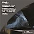 WYPALL PowerClean X80 Heavy Duty Cloths, Jumbo Roll, Extended Use Towels, Blue (455-Sheets/Roll, 1-Roll/Case)