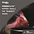 WYPALL PowerClean X80 Heavy Duty Cloths, Jumbo Roll, Extended Use Towels, Red (455-Sheets/Roll, 1-Roll/Case)
