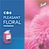 Scott Pro 1 l Floral Scent Liquid Hand Soap with Moisturizers, Pink (6 Bottles/Case)