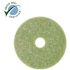 3M 20 in. Topline Autoscrubber Floor Pad (5-Count)