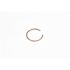 ProTeam Replacement Ring for Aluminum Wands