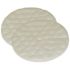 ProTeam High Filtration Discs for Dome Filter (2-Pack)