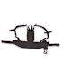 ProTeam Back Plate System 2 Piece Kit Complete with Mounting Hardware