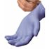THE SAFETY ZONE 100-Ct Blue Nitrile Disposable Gloves Large (10 Boxes of 100 Per Box)