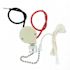 Leviton 3-Amp Single-Pole Single Circuit (On-Off) Pull Chain Switch 1689-75