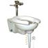 Big John Wall Mounted Toilet Support
