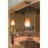 Sylvania 15-Watt A15 Decorative Incandescent Light Bulb (1-Each)