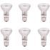 Sylvania 35-Watt R20 Household Halogen Light Bulb (6-Pack)