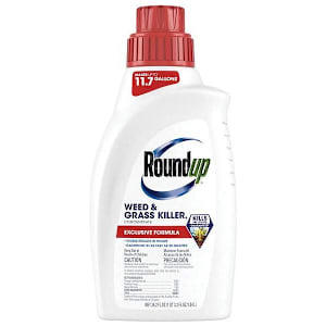 Weed Control & Fertilizer