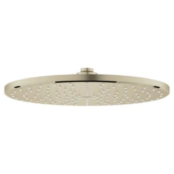 Image for Grohe Rainshower 310 Round Mono Shower Head Brushed Nickel from HD Supply