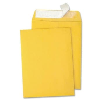 Image for Quality Park® Catalog Envelopes, 6"W x 9"L, Box Of 100 from HD Supply